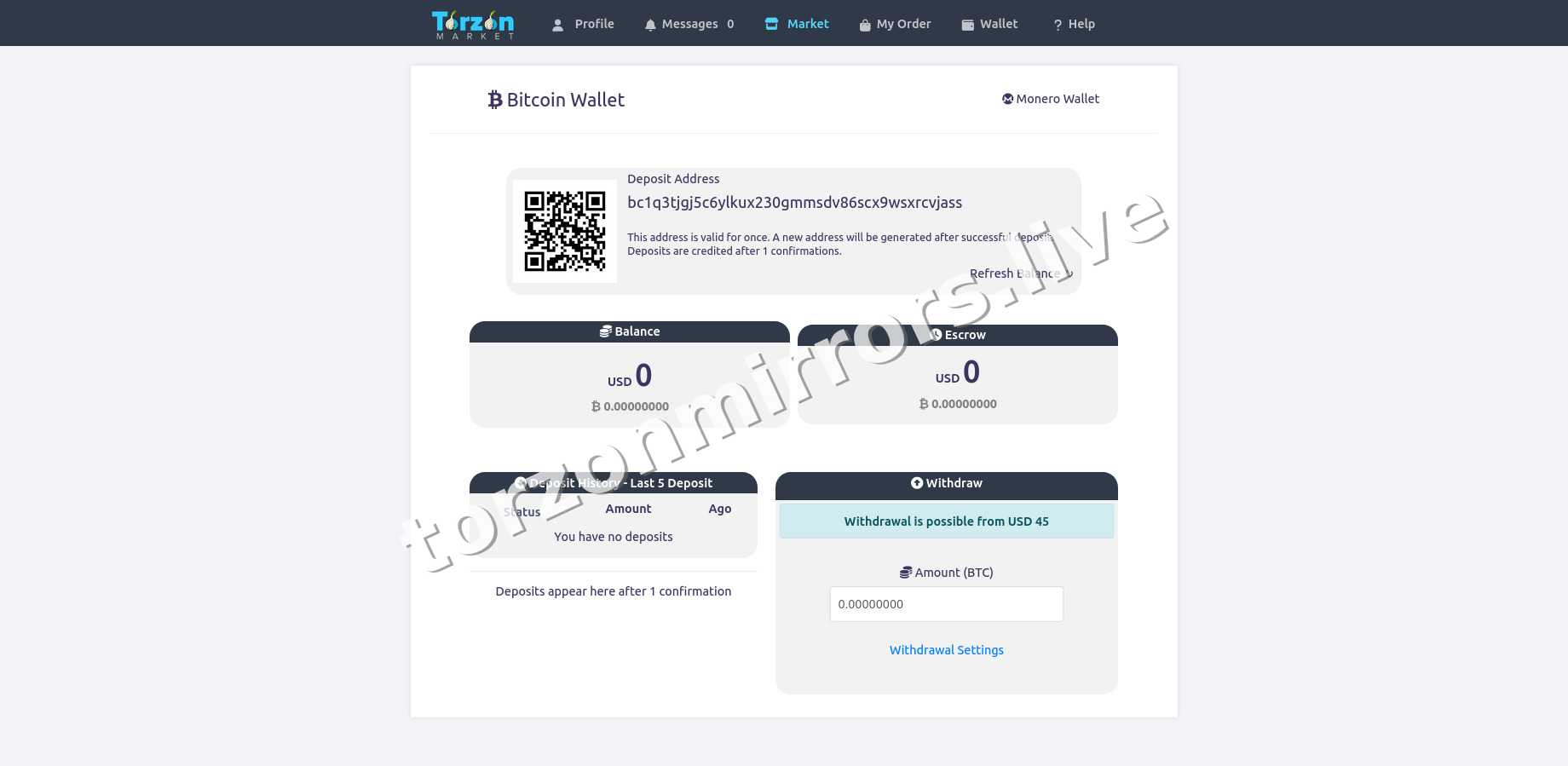 TorZon Mirrors interface — view 1