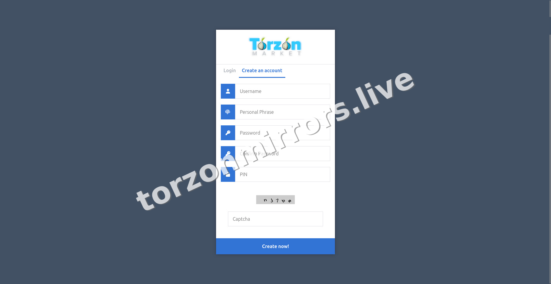 TorZon Mirrors interface — view 2