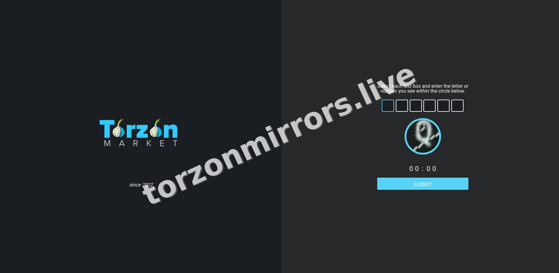 TorZon Mirrors interface — view 3