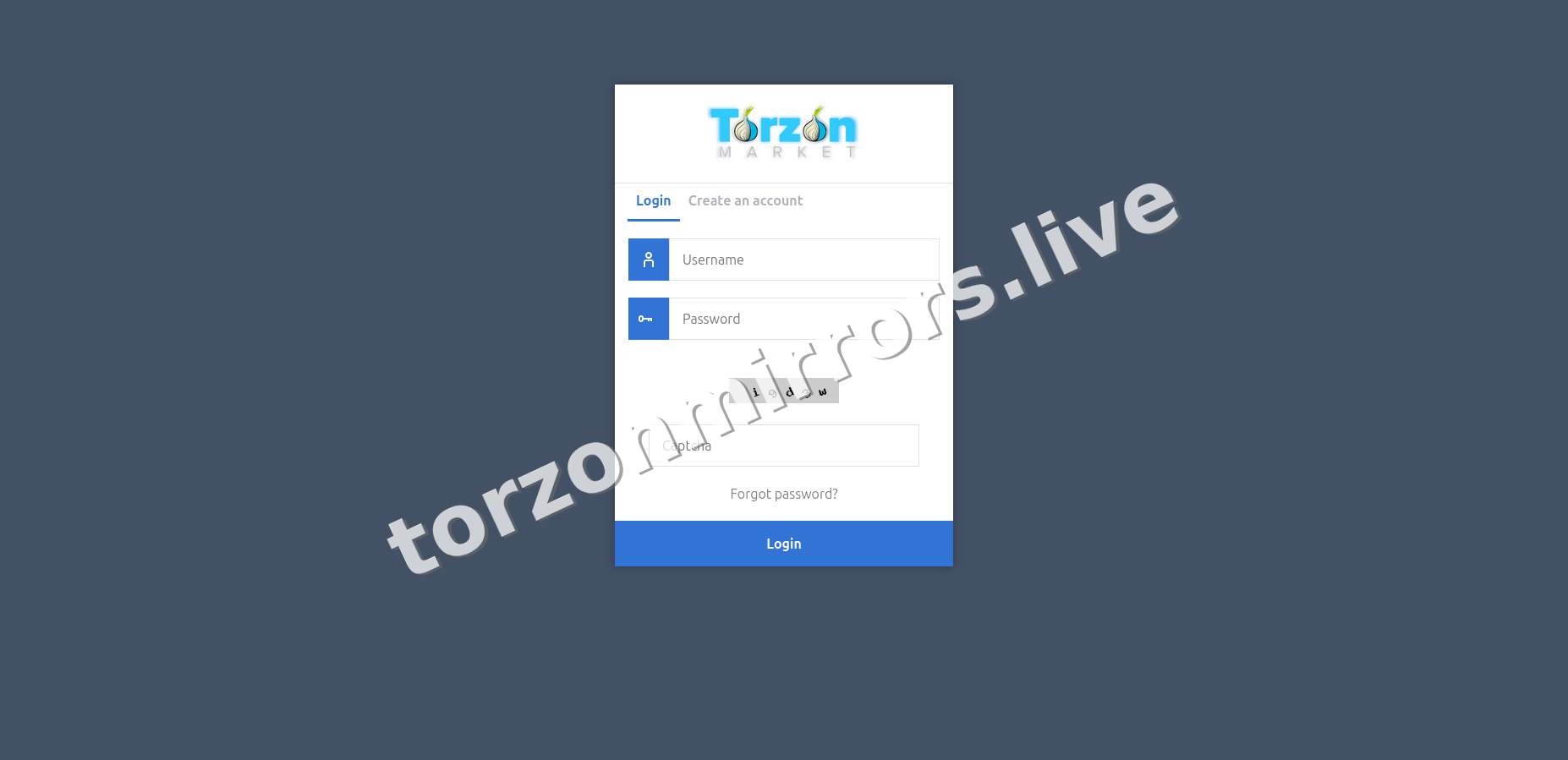 TorZon Mirrors interface — view 4